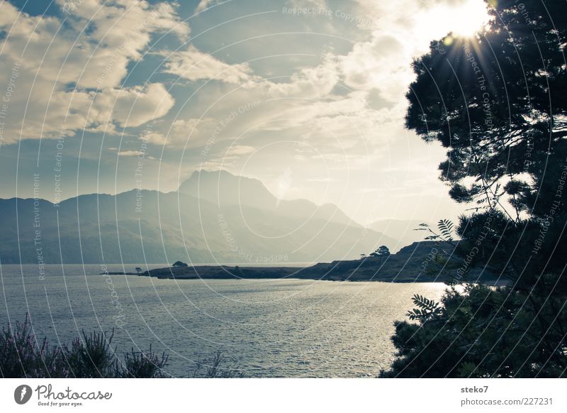 Loch Garry Clouds Sun Tree Mountain Lakeside Illuminate Nature Vacation & Travel Scotland Slate blue Exterior shot Deserted Copy Space top Back-light