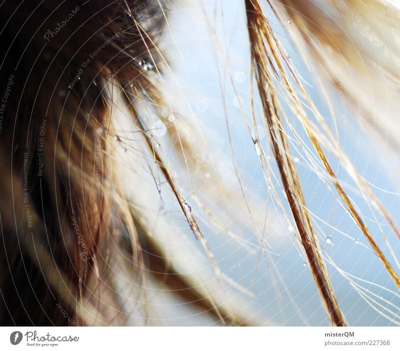 Hairy. Esthetic Hair and hairstyles Wet Drop Macro (Extreme close-up) Blur Near Strand of hair Colour photo Exterior shot Close-up Detail Copy Space left Day