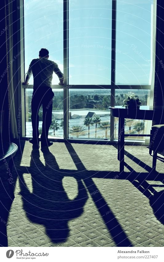 Man at window X Human being Masculine Adults Life 1 Dream house High-rise Window Window pane Esthetic Elegant Retro Thin Reliability Vista Looking Vantage point