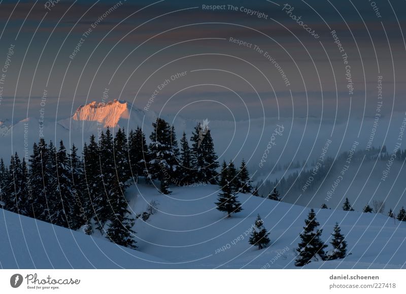 apres ski Winter Snow Climate Beautiful weather Fog Ice Frost Alps Mountain Peak Snowcapped peak Blue Calm Copy Space top Light Shadow Silhouette Sunrise Sunset