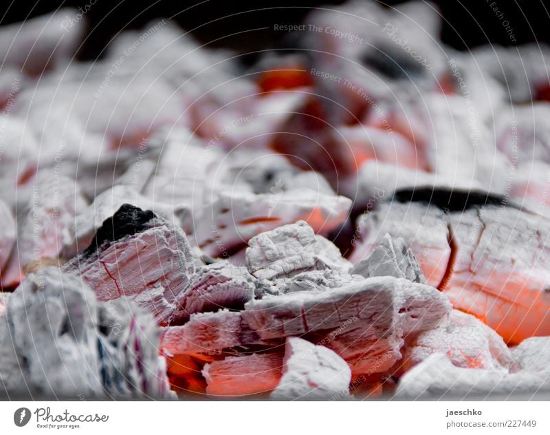 barbecue Barbecue (apparatus) Hot Gray Red White Barbecue (event) Glow Coal Charcoal Warmth Charcoal (cooking) BBQ season Embers Colour photo Close-up Detail