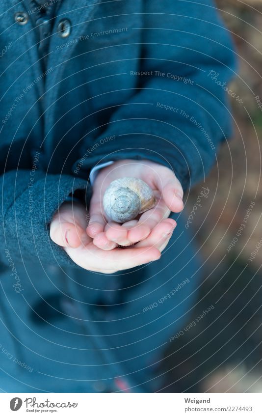 roundabout Harmonious Well-being Child Toddler Hand 1 Human being Friendliness Gray Trust Safety Protection Safety (feeling of) Conscientiously Caution Serene