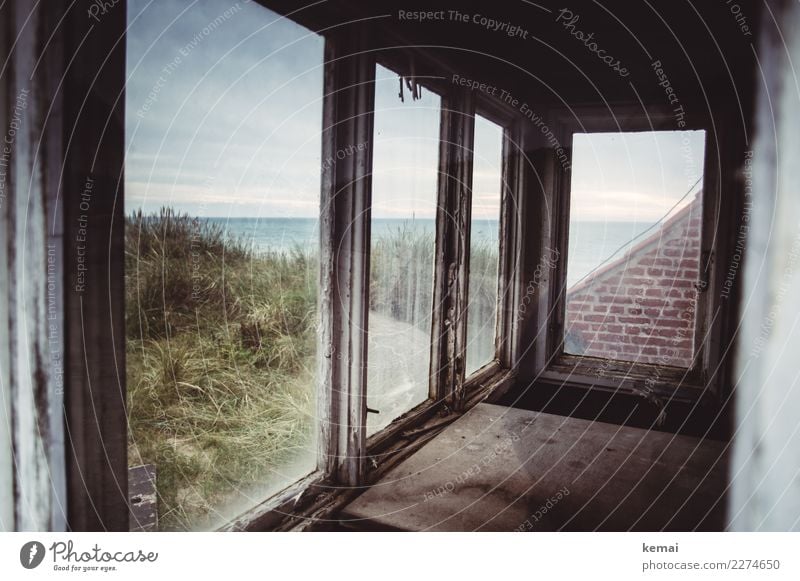 Window to the sea Calm Vacation & Travel Trip Adventure Nature Landscape Sky Clouds Bushes Foliage plant Coast Ocean Marram grass Beach dune Hut Building