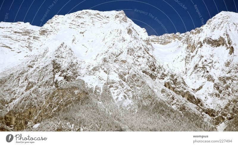 Steil,Kalt.Extrem cool,einfach lässig Nature Landscape Sky Cloudless sky Snow Hill Rock Alps Mountain Peak Snowcapped peak Blue Gray White Colour photo