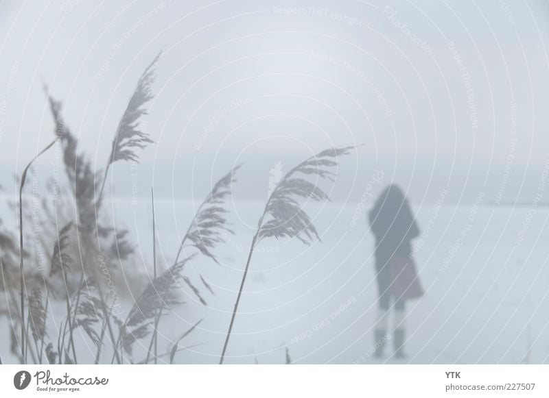 Lonely Girl Environment Nature Landscape Plant Air Winter Climate Bad weather Fog Bushes Wild plant Moody Loneliness Individual Snowfall Cold Looking away