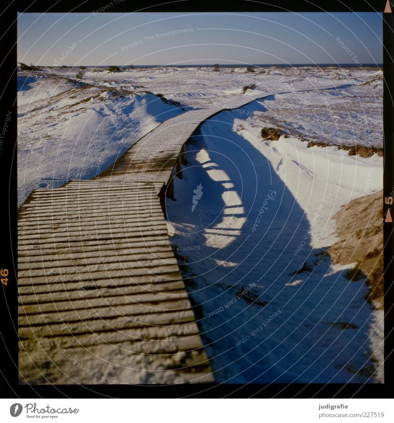 Darß Place Environment Nature Landscape Sky Winter Climate Ice Frost Snow Coast Baltic Sea Darss Cold Natural Moody Lanes & trails Footbridge Wood Woodway