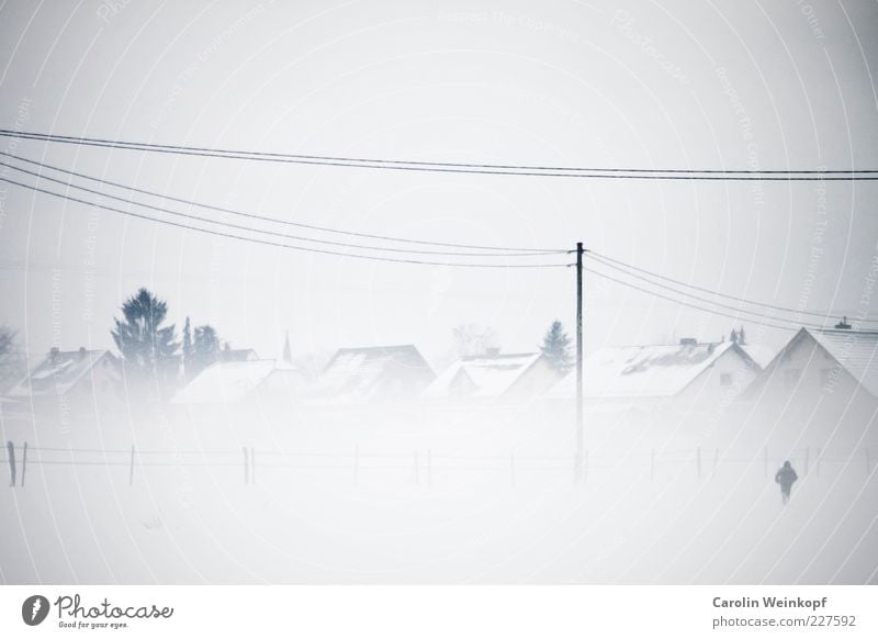 Snow flurries. Far-off places Freedom Winter Human being Androgynous 1 Landscape Sky Weather Bad weather Fog Ice Frost Field Village