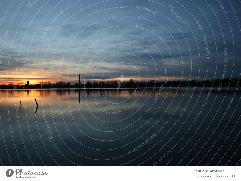 Just A Souvenir Water Clouds Sunrise Sunset Beautiful weather Tree Lake Calm Colour photo Exterior shot Deserted Copy Space top Copy Space bottom Twilight