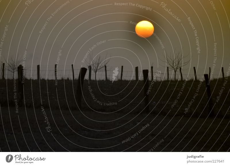 Hanover, Sundays Environment Nature Landscape Sunrise Sunset Plant Tree Exceptional Dark Natural Moody Fence Meadow Colour photo Deserted Evening Twilight