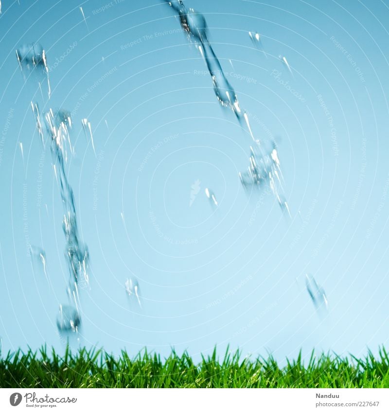 Splash. Nature Grass Fresh Artificial lawn Water Inject Cast Drop Motion blur Drops of water Cloudless sky Dynamics Colour photo Studio shot Neutral Background