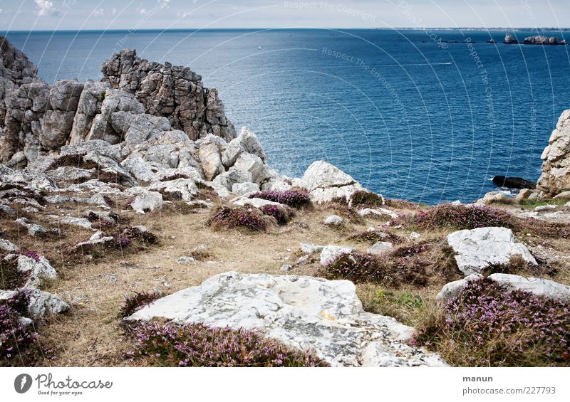 over the ocean Far-off places Freedom Summer Nature Landscape Elements Sky Rock Mountain Peak Coast Reef Ocean Brittany Cliff Exceptional Authentic Wild