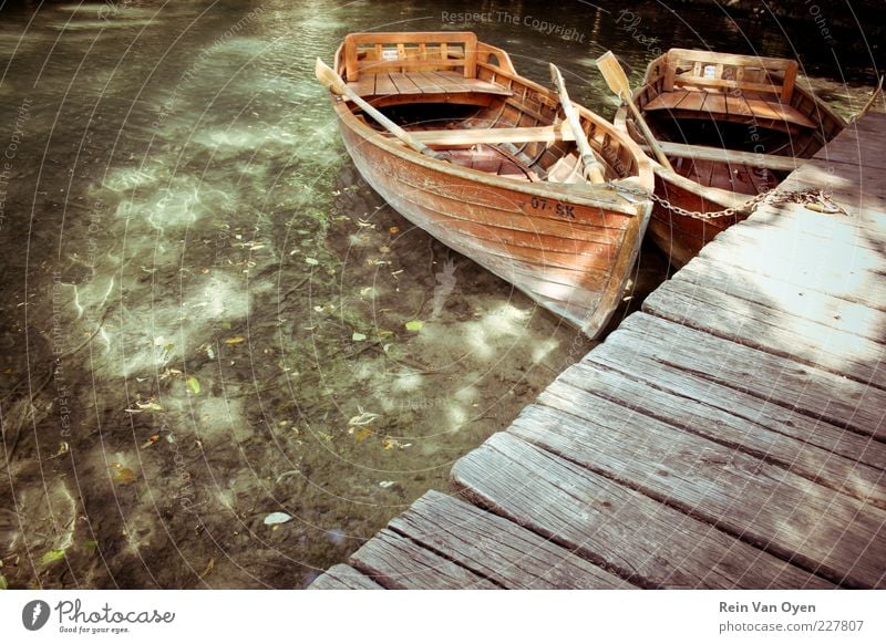 Baby boats Environment Water Sun Sunlight Summer Beautiful weather Warmth Waves Coast Lakeside Beach Reef Coral reef River Navigation Inland navigation Rowboat