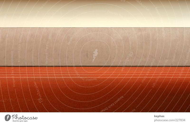 purism Sporting Complex Racecourse Wall (barrier) Wall (building) Esthetic Simple Modern Gray Red Calm Line Colour photo Interior shot Deserted Copy Space top