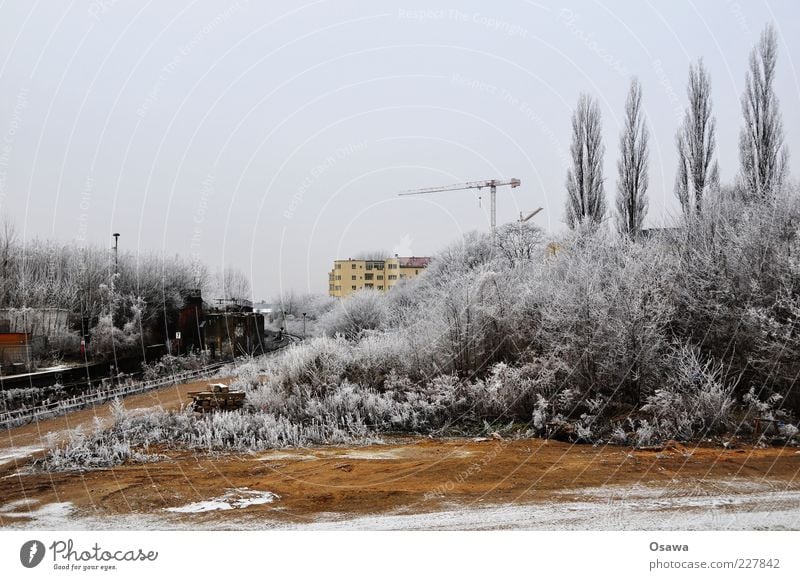 ice fog Tree Bushes Hoar frost White Gray Crane Building House (Residential Structure) Fallow land Ostkreuz Cold Winter Snow Sky Deserted