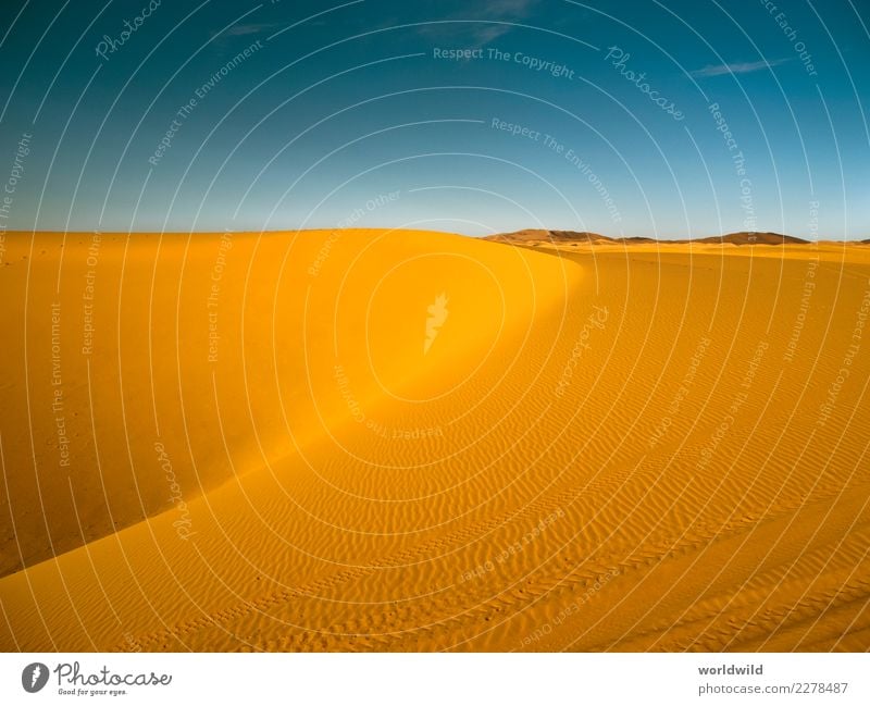 Erg Chebbi Desert Nature Landscape Sand Cloudless sky Sun Sunrise Sunset Summer Beautiful weather Vacation & Travel Hiking Exotic Free Infinity Yellow