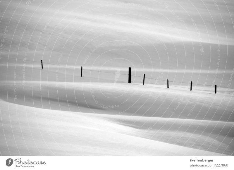 floating border Winter Snow White Fence Fence post Wire Wire fence snow surface Waves Contrast Gray Shadow Shadow play Structures and shapes Border