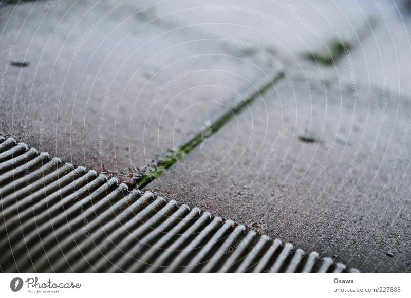 hoar frost Roofing tile Tin Cold Winter Mature Hoar frost Ice Seam Diagonal Landscape format Exterior shot Copy Space Subdued colour Shallow depth of field