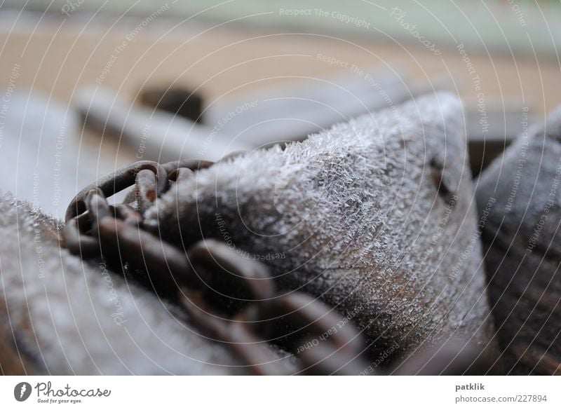 Frozen wood in chains Winter Ice Enclose Wood Rust Captured Cramped Cold Ice crystal Frostwork Colour photo Exterior shot Macro (Extreme close-up) Chain link