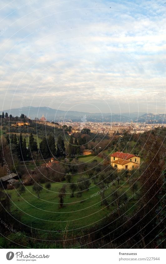 Florence Nature Landscape Sky Hill Italy Europe Town Outskirts Deserted House (Residential Structure) Blue Green Cypress Colour photo Exterior shot