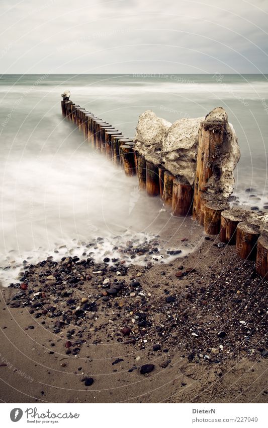 end of winter Environment Nature Landscape Sand Water Sky Clouds Sunlight Winter Climate Weather Wind Ice Frost Snow Coast Beach Baltic Sea Ocean Wustrow