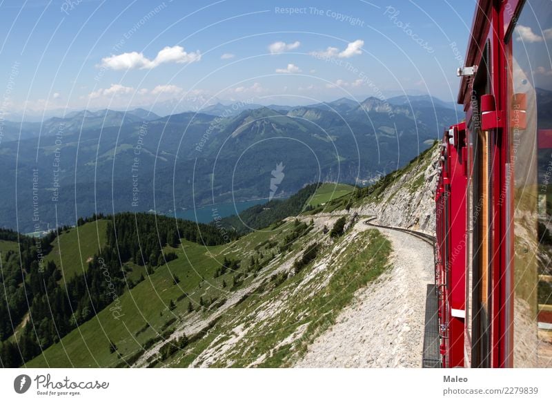 Alps Steamlocomotive Cog railway sheep's mountain Lake Wolfgang Bergen Vacation & Travel Summer Railroad Tourist Passenger traffic Retro Mountain Train station