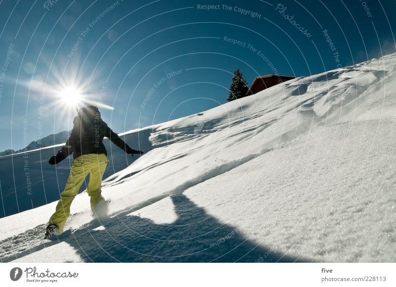 sunny side Sports Winter sports Ski run Woman Adults Nature Landscape Sky Cloudless sky Sun Beautiful weather Snow Hill Alps Mountain Joy Happy Deep snow