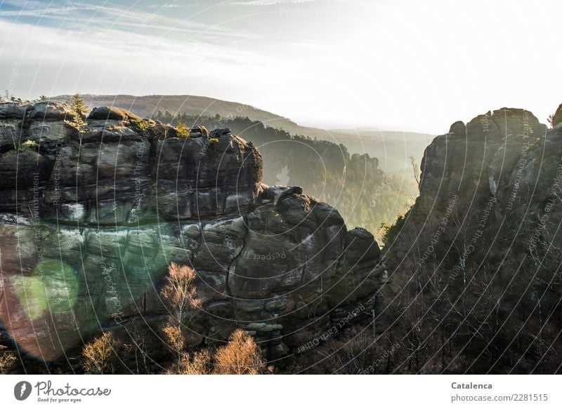 Winter light in the Elbe Sandstone Mountains Winter vacation Landscape Sky Beautiful weather Tree Rock Elbsandstone mountains Observe Hiking Authentic Blue