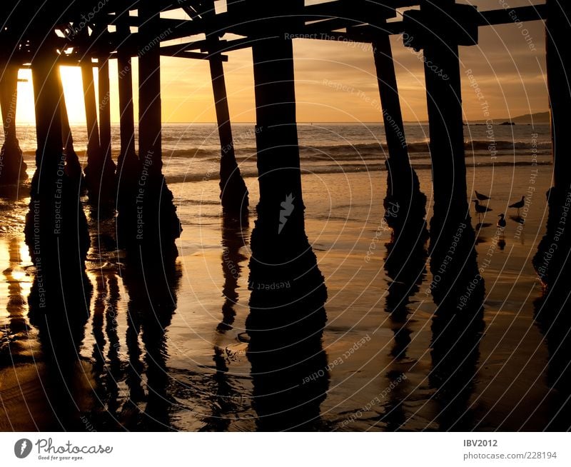 Santa Monica Pier Far-off places Sand Water Sky Sun Sunrise Sunset Sunlight Waves Coast Beach Ocean Deserted Freedom santa monica Jetty Pacific Ocean California