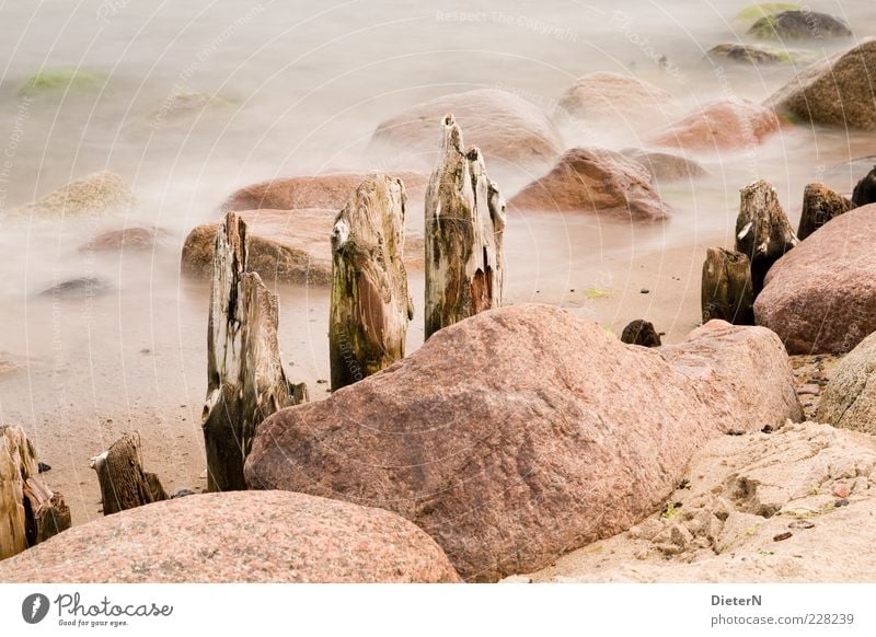 steadfast Environment Nature Sand Water Summer Climate Baltic Sea Ocean Bright Calm Break water Stone Colour photo Multicoloured Exterior shot Detail Deserted