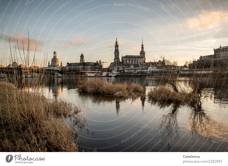 thresh Tourism Winter Water Beautiful weather Grass Bushes River bank Elbe Saxony Dresden Town Capital city House (Residential Structure) Church Dome Bridge