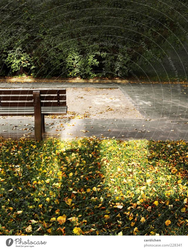 The country needs children! Deserted Yellow Gold Green Playground Sandpit Bench Empty Childless Reflection Loneliness Motionless Colour photo Exterior shot