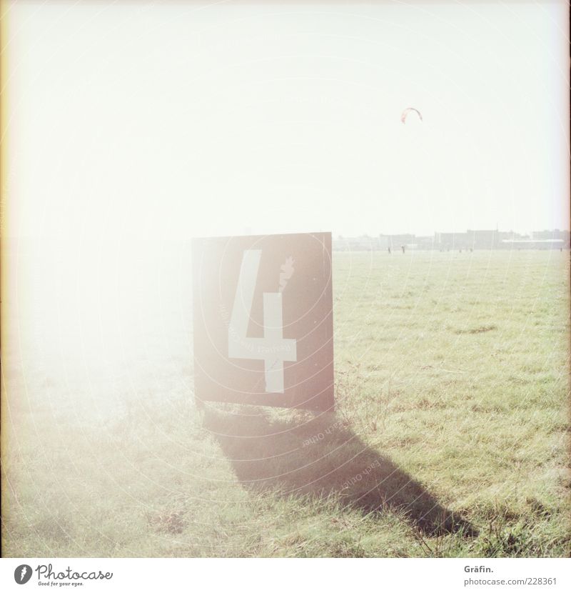 4 Sun Grass Meadow Digits and numbers Signs and labeling Illuminate White Overexposure Shadow Colour photo Exterior shot Deserted Copy Space top Day Sunlight