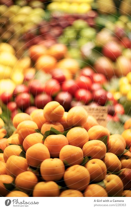 Apricots are on sale today.... Food Fruit Plum Organic produce Healthy Juicy Sweet Multicoloured Vitamin Stack Markets Market stall Orange Offer Interior shot