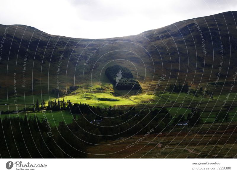 Light off, spot on Environment Nature Landscape Plant Sky Horizon Sun Sunlight Weather Forest Hill Mountain Highlands Scotland Great Britain Exceptional Dark