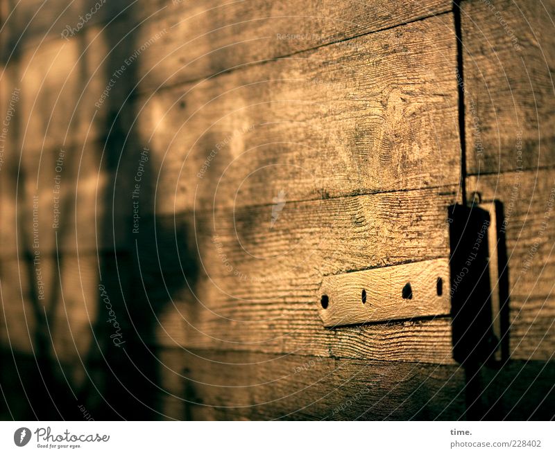 Evening sun in the garden Door Wood Metal Moody Authentic Dusk Hinge Barn Storage shed Gardenhouse Metalware Wood grain Screw Wooden floor Wooden board Seam