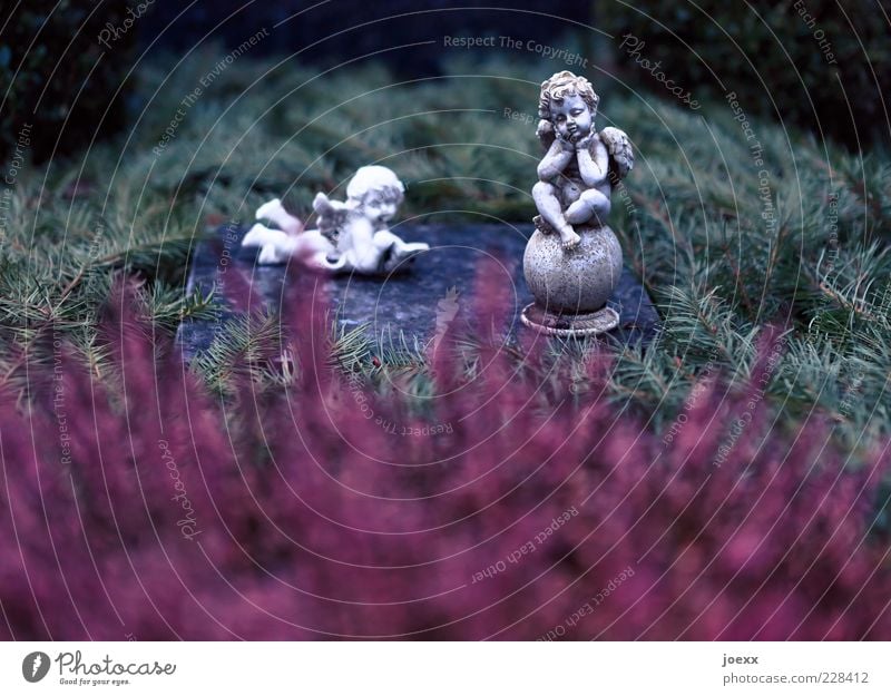 Angel figures on a grave with fir branches and heather Stone Sign Think Lie Wait Old Dark Gray Green Red Emotions To console Calm Grief Death Sadness Lose Grave