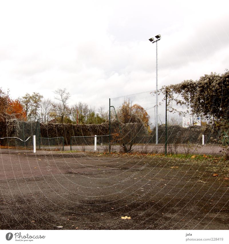 grand slam Tennis Net Tennis court Sporting Complex Sky Autumn Plant Gloomy Colour photo Exterior shot Deserted Copy Space top Day Copy Space bottom Asphalt