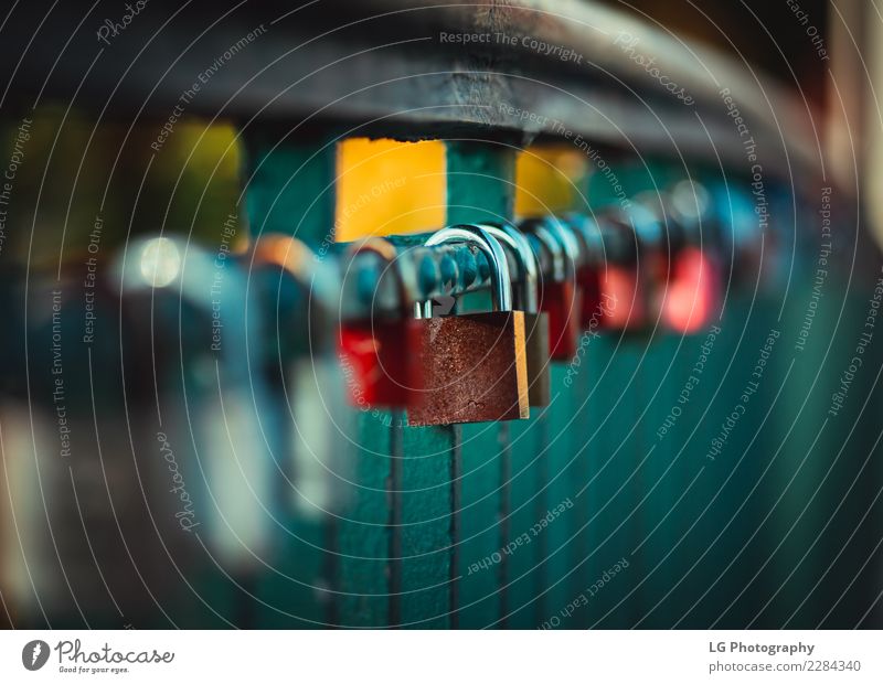 Colorful locks on a bridge Friendship Couple Culture River Bridge Heart Old Love Happiness Historic Blue Green Red Safety Safety (feeling of) Colour Tradition