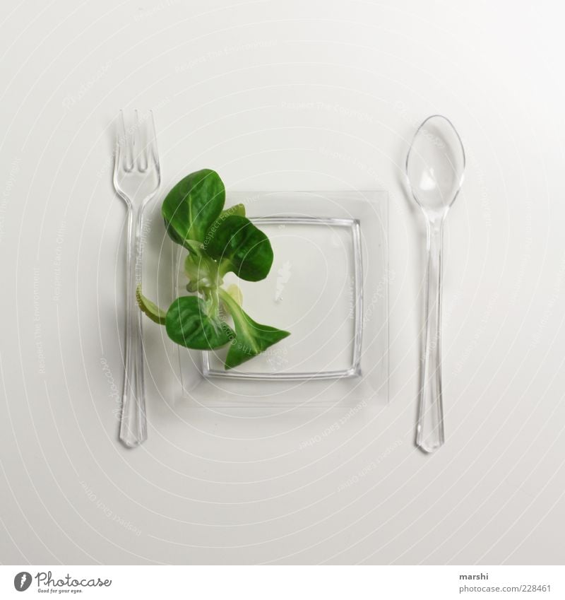 salad diet Food Lettuce Salad Nutrition Picnic Organic produce Vegetarian diet Diet Crockery Plate Cutlery Fork Spoon Healthy Green White Lamb's lettuce