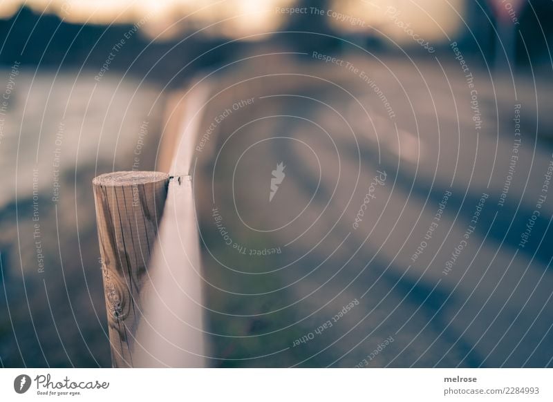 Sharpness gradient II Environment Nature Earth Water Sky Sun Winter Climate Beautiful weather Plant Grass River bank tight focus Fence post Wooden fence