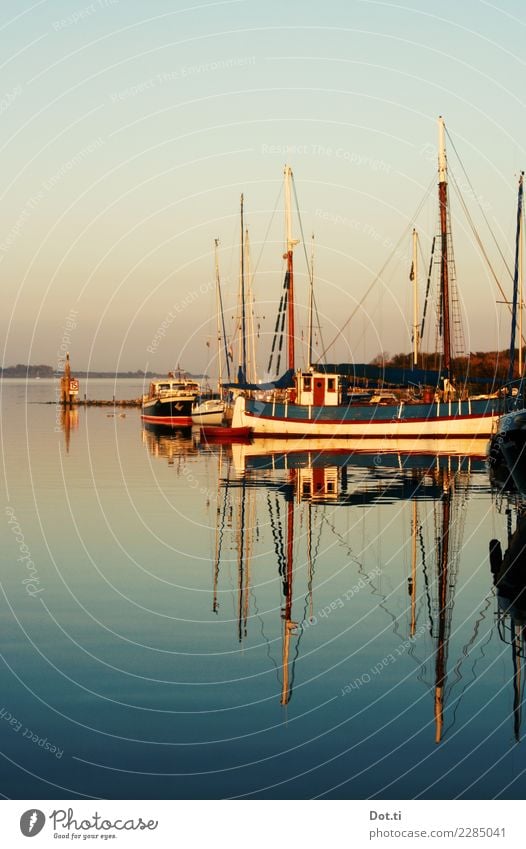 of the fish are caught a lot Coast Bay North Sea Ocean Navigation Fishing boat Sailing ship Harbour Vacation & Travel Idyll Nature Calm Reflection Mast