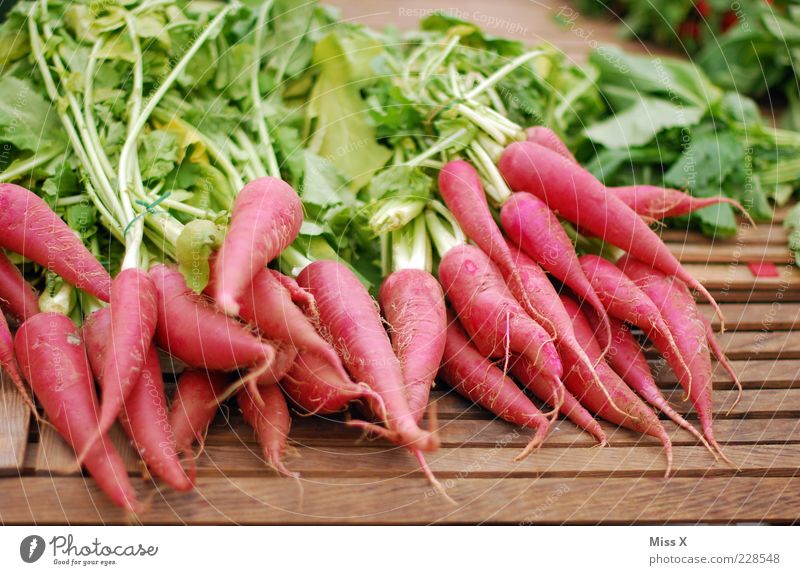 Rrroda Rrreddich Food Vegetable Nutrition Organic produce Vegetarian diet Fresh Long Delicious Point Red Harvest Radish red radish Root vegetable