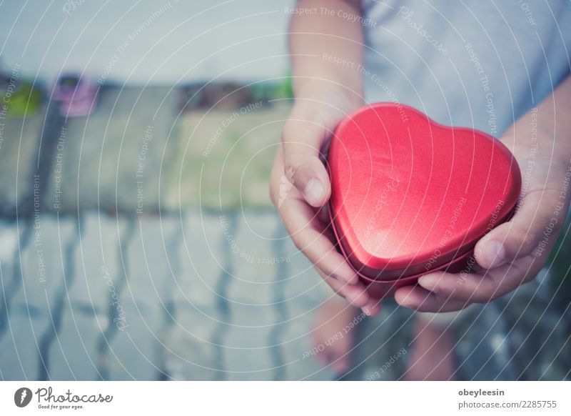 hand holding a red heart, valentine's day love Life Human being Woman Adults Mother Grandmother Hand Heart Old Love Together Red Black Passion Compassion