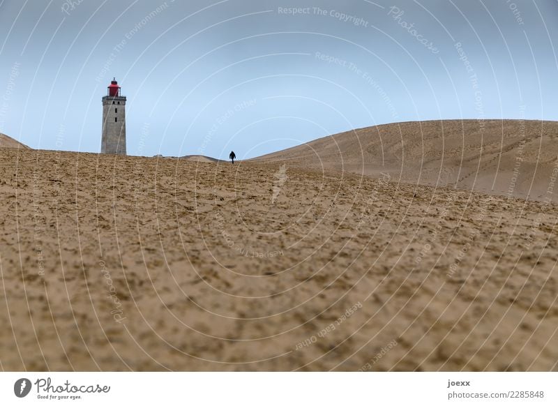 Lonely man walking towards lighthouse in wide dune landscape. Target Lighthouse Single-minded Denmark Historic Lanes & trails Old Loneliness Human being