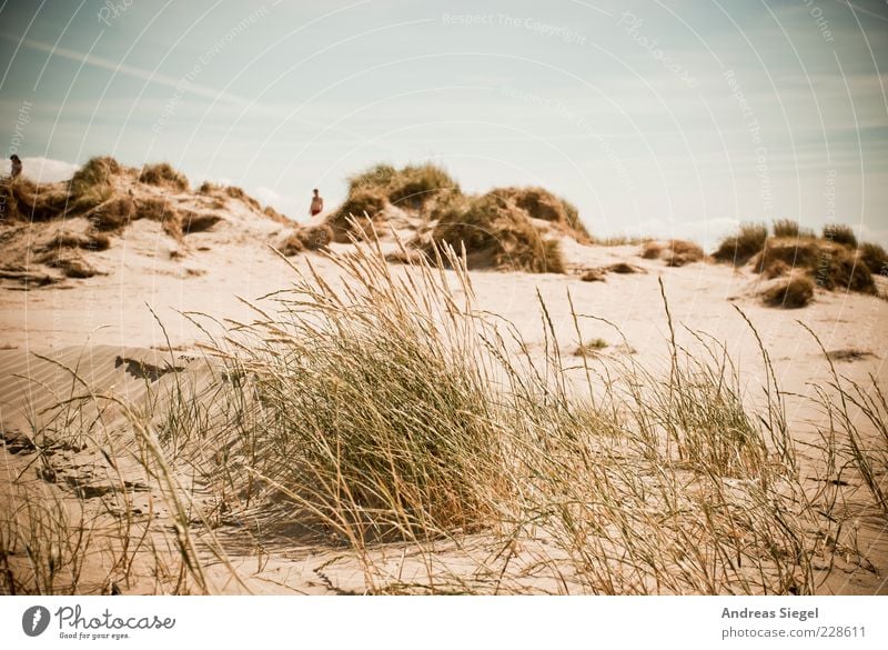 beach walk Calm Leisure and hobbies Vacation & Travel Tourism Summer Summer vacation Beach Human being Life 2 Sky Beautiful weather Grass Coast Beach dune