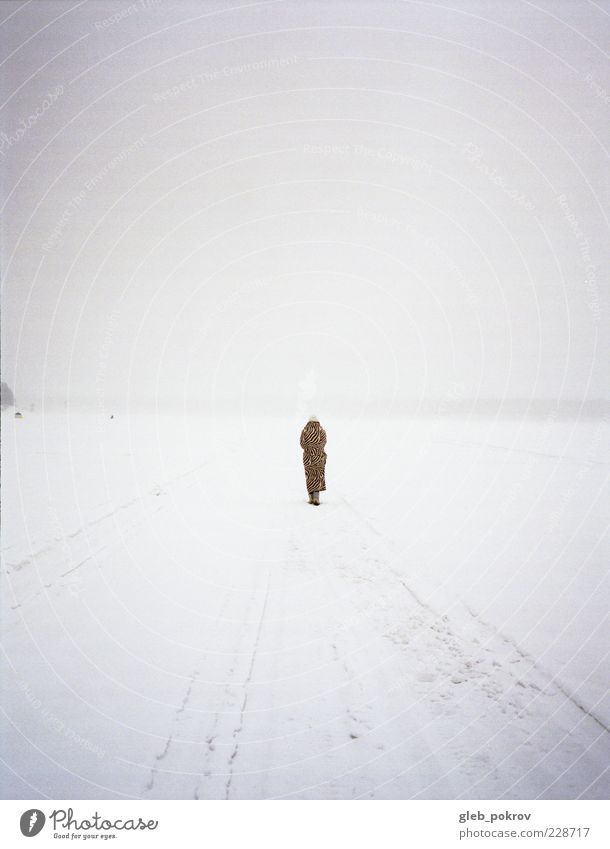 Doc #beach Human being 1 Nature Landscape Elements Sky Horizon Winter Climate Weather Beach Wait Loneliness Jeleznogorsk Russia Beautiful Esthetic