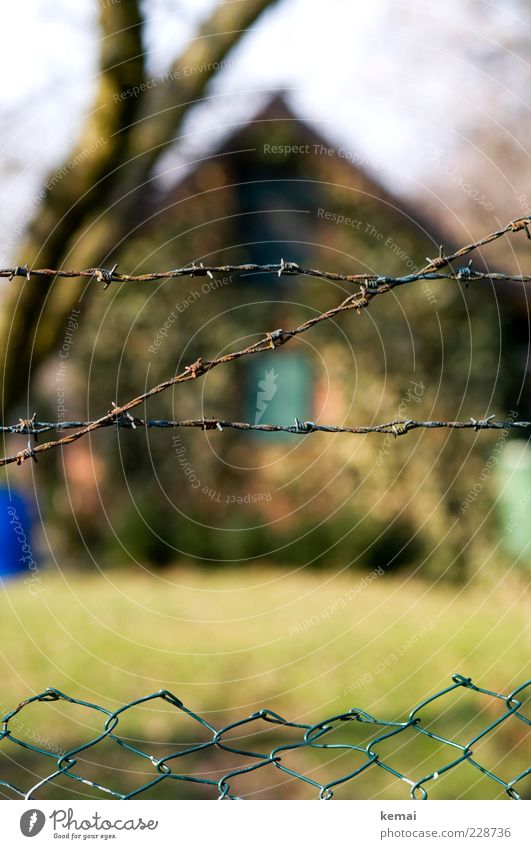 allotment garden idyll Environment Nature Autumn Beautiful weather Ivy Garden House (Residential Structure) Building Hut Gardenhouse Fence Wire netting fence