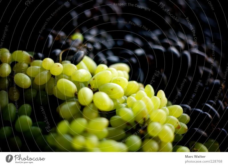 fruity Food Fruit Bunch of grapes Berries Market stall Organic produce Vegetarian diet Healthy Delicious Juicy Sweet Green Black Nature Grape harvest