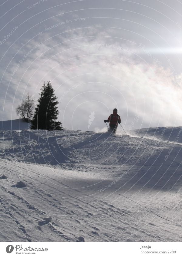 powder descent Powder snow Skiing Sunrise Zell am Ziller Deep snow Sports downhill