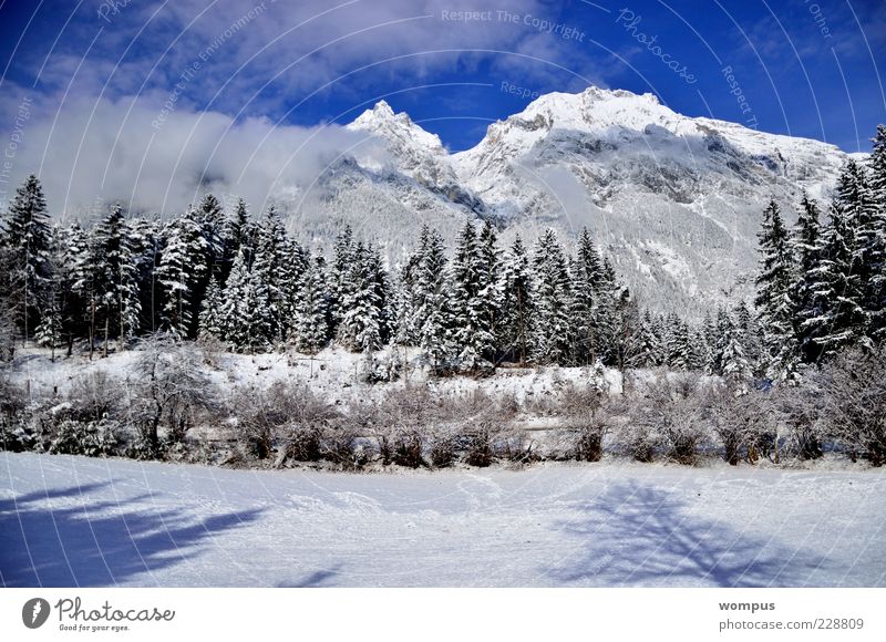 Augenweide Nature Landscape Plant Sky Clouds Beautiful weather Park Meadow Field Forest Hill Rock Alps Mountain Peak Snowcapped peak Blue Brown Gray Green White